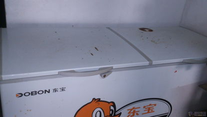 转让一台知名品牌东宝特大冰柜