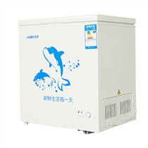 惠康HICON BD/BC-158DH 单温冰柜领域的实力新品